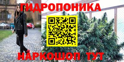 дмт Краснодар