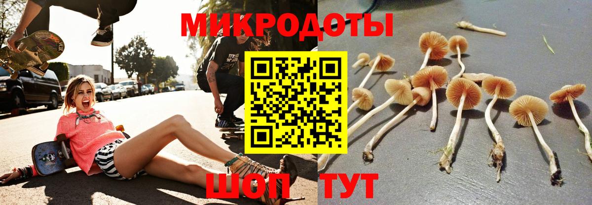 Кудрово  Псилоцибиновые грибы Psilocybe  закладка  Вход с VPN 